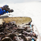 Illustration for article titled “Supercharged shellfish” could solve global vitamin deficiency